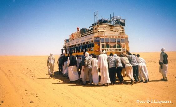 Выталкивание автобуса из песка посреди Сахары.